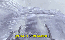 unsquishableroach:  What if… Roach actually had a voice actor? 