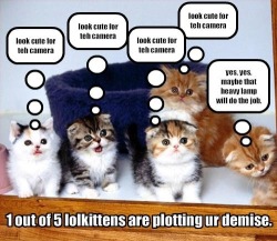 Where the apocalypse failed, the lolkittens will succeed  ;)