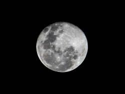 sexy-uredoinitright:  Here you go, tonights Full Moon as captured by yours truly. Enjoy its beauty as much as I do…  SO AWESOME!!