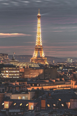 visualechoess:  Les Toits de Paris By: Laurent