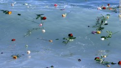 unrar:    Flowers float in the Mediterranean Sea in honor of refugees lost while making the perilous journey to Europe. Last night more than 80 Syrians and Palestinians refugees have drowned in the Mediterranean close to the Libyan shores trying to reach