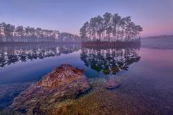 americasgreatoutdoors:  A gorgeous shot of first light over Long Pine Key Lake at the Everglades National Park in Florida. The largest subtropical wilderness in the U.S., the Everglades is known for its unique mangrove forests. This week, Secretary of