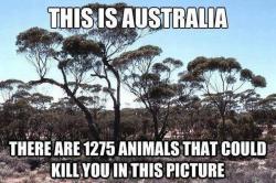 theysayoftheacropolis:  pleatedjeans:  Things Are a Little Different in Australia (21 Pics)  i tried to type “is australia even real” and for some reason wrote “is mayonnaise even real” instead hm 