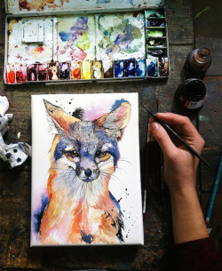 asylum-art:  Watercolor Portraits of Animals in the WoodsCalifornian illustrator Janie Stapleton  got inspired with animals she saw during her wanders in the woods to  draw very beautiful watercolor paintings. Deers, hunting dogs, foxes and  hummingbirds