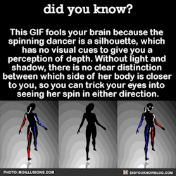 did-you-kno:  This GIF fools your brain because the  spinning dancer is a silhouette, which  has no visual cues to give you a  perception of depth. Without light and  shadow, there is no clear distinction  between which side of her body is closer  to