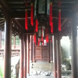 Yayuan garden #tea #garden #yayuan #shanghai #sgg #explorethecity #china