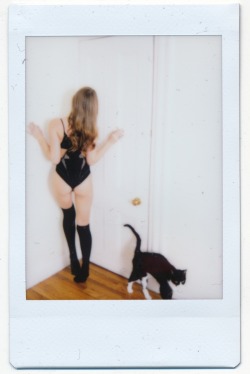 hedonistquest:  This reminds me of me…creeping around the house in a leotard with a kitty :)  Kathryn by Rick Ochoa
