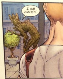 theinfinityblog:  If you don’t like Groot we probably can’t be friends. 