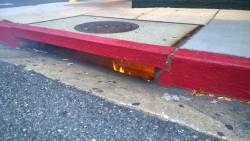 cacti-pus:  reginadolce:  redditfront:  That isn’t normal  we found hell  when you accidentally drop your mixtape in the sewer