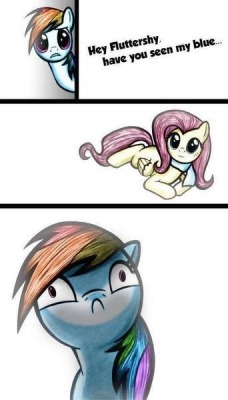 wonderbolt-dashie:  haku4333:  Damnit flutters  That’s where that came from? 