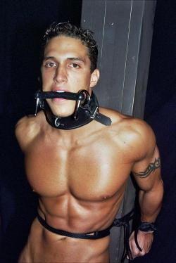 hmm lets see&hellip;. hot gorgeous stud tied up? OK!!!
