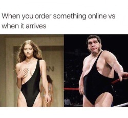 argumate: plasmalogical: reblog if the woman on the left is just as beautiful as andre the giant sorry sweaty but no one is as beautiful as andre the giant 