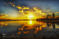 kohalmitamas:  Sunset reflection by rensoprofijtfotografie 