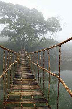 e4rthy:  Rope Bridge Photograph Sapa, Vietnam by