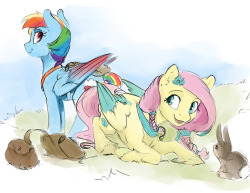 couchcrusader:  royalmultiverse:   Dash and Fluttershy are the best scouts in their herd. Fluttershy can get the inside scoop on what’s going on in an area from the local animals. Dash can quickly fly back to the herd and relay the info if it’s urgent.
