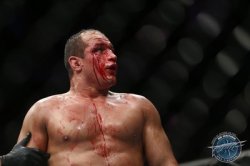 ufcmmapictures:  UFC 166: Dana White thinks