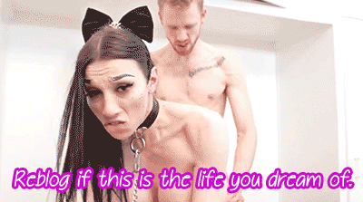 XXX sissy-stable: sissyarchive:    Yay ! Be Gay photo