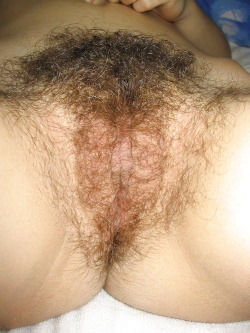 hairypussyselfie:  my pussy—Thanks for your submission of your hairy pussy selfie at hairypussyselfie.tumblr.com/submit  Spectacular!!
