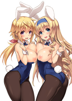 unlimited-sweet-and-sexy-works:  Download my sexy Infinite Stratos hentai collection here: http://adf.ly/qEtcQ 
