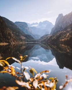 bokehm0n:The mirror of nature is the clearest mirror. __________________________ [werbung]