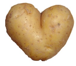 I fucking love potatos wait I just made a transparent potato heart actually i can&rsquo;t tell if it looks more like a heart or a butt help
