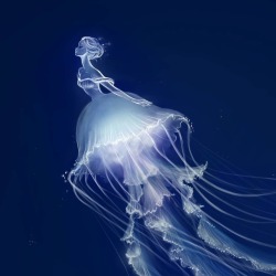 demi-chen:Happy MerMay! Here is a close-up of my Jellyfish Mermaid!
