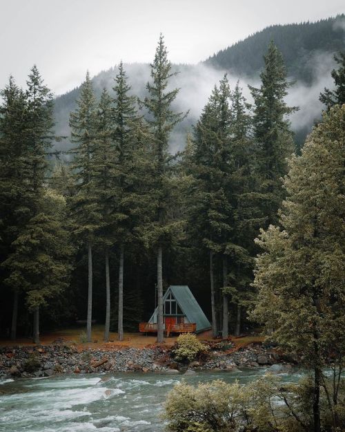 wild-cabins:Chris Henry