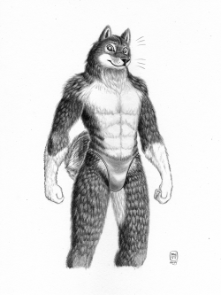 izzyink:  My friend’s Shiba Inu OC, “Sansenite”. 0.5 Mechanical Pencil on 8.5 x 11 Oslo Paper.   And a lover of blue speedos~