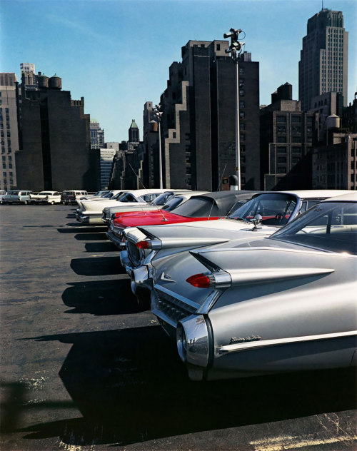 adreciclarte2:  Evelyn Hofer - New York, 1963