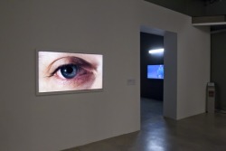 boyirl:  Rafael Lozano-Hemmer, “Surface Tension”, 1992.Shown here: Detectores, Fundación Telefónica, Buenos Aires, Argentina, 2012 