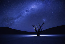 wonderful-earth-story:    © Christopher R Gray /National Geographic Traveler Photo Contest“I visited Deadvlei in 2008. The personal emotional and spiritual connection I felt with “The Beginning” I know I had to return someday. That time came in