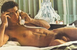 vintagegaybackroom:  nakedpicturesofyourdad:  Tony Stefano, Foxylady Magazine, February 1975  Tony Stephano  Fuck!