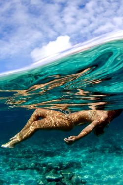 makxveli:  Ocean-minded by: ( David Slater ) 
