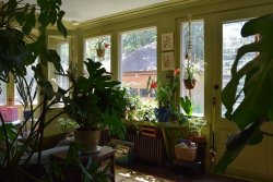 perceptinspire:  Apartment Therapy: Natasha and the Plant-Filled Sunroom 