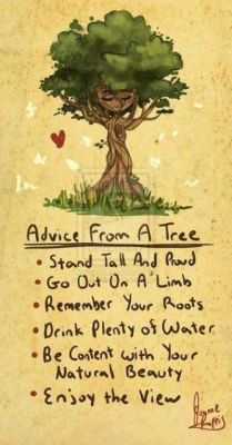 gentledom:  the-enchanted-mermaid:  The tree is right.  Yes, it is. 