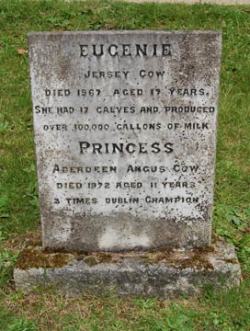 A head stone for two cows; Eugenie, a Jersey cow who had seventeen calves and produced over 100,000 gallons of milk. Then there&rsquo;s Princess, an Aberdeen Angus cow who was the Dublin Champion three times