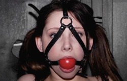 gaggedslave:  BDSM Gagged Slaves, Ball Gag, Tape Gag pictures from Tumblrhttp://gaggedslave.tumblr.com/ Blogs I follow: Amateur Bondage / Just Nipple Clamps / How Can I  Find a Girlfriend : Amateur-BDSM.org Submit your Amateur BDSM &amp; Fetish Pictures