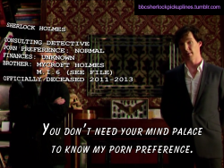 &ldquo;You don&rsquo;t need your mind palace to know my porn preference.&rdquo;