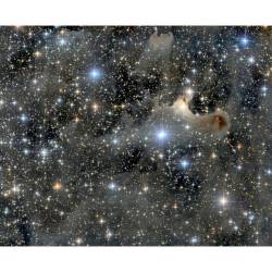 Haunting the Cepheus Flare #nasa #apod #constellation #cepheus #cosmicdust #dust #clouds #molecularcloud #milkyway #cepheusflare #ghostnebula #vdb141 #sh2-136 #nebula #ghost #star #stars #interstellar #space #science #astronomy