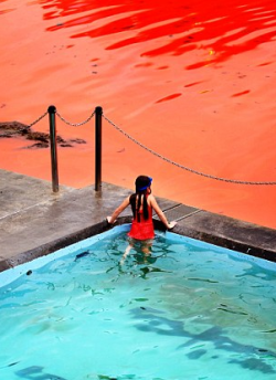sixpenceee:  Bondi Beach in Australia turned a crimson red in 2012 because of a rare algae bloom. It’s known as noctilua scintillians or sea sparkle. It’s not that toxic to humans but people were still advised to keep away because the high levels