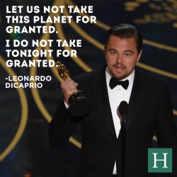 huffingtonpost:  Leonardo DiCaprio Wins Best Actor For ‘The Revenant’ 