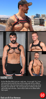 mrsleather:  Tick Tock - get your harness for the DORE ALLEY weekend in SF now!  #DoreAlley 