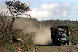 17-278 by nick dewolf photo archive on Flickr.hawaii, 1973 truck on a dirt road