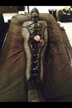 owner-of-zephyr-otterboy: To protect Your property from unnecessary punishment secure object before release locked dick for edging.