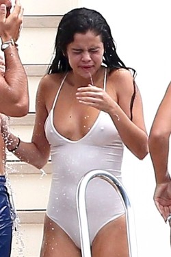 briannassex:  shagzoehard:  Selena gomez  rule 24 is selena but i don’t normally post nudies so i’m putting it int my personal blog but what i want to know is - that for real her boobs?  No it isn&rsquo;t really her boobs.  She has. Mole on her right