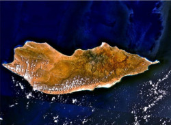 fabricofconsciousness:  roamobile-h2:  Isla Socotra  SERIOUSLY  AH SO COOOL 