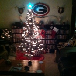 Christmas Tree Is
