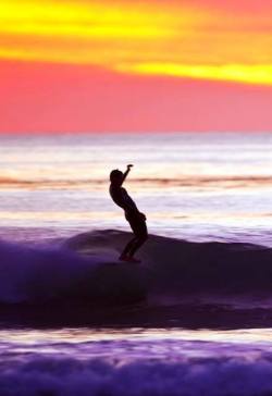 cbssurfer:  Color of life is found on a surfboard