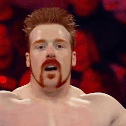 wwesexriot:  i miss this ginger sheamus also