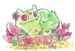 kounyoukai:  Good ol’ bulbasaur for a good ol’ friend  